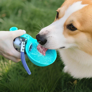 Pet  Feeding