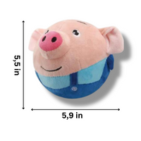 Bouncing Pig Toy