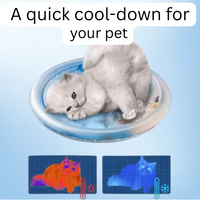 Cooling Water Mat for Pets
