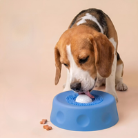 Non-Slip Slow Feeder Lick Bowl