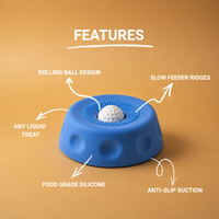 Non-Slip Slow Feeder Lick Bowl