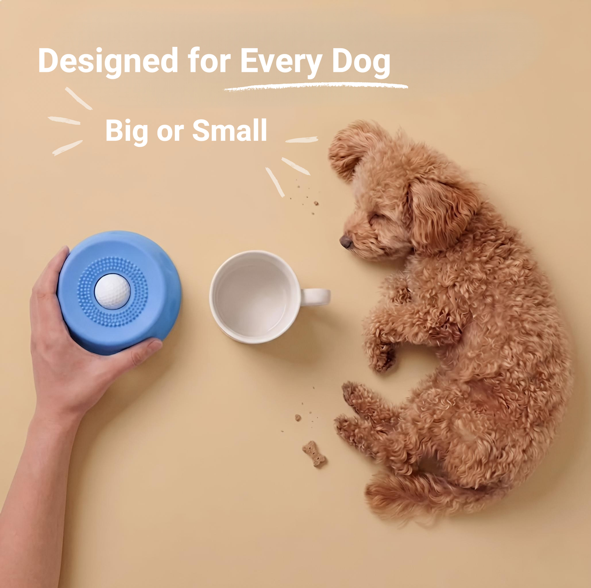 Non-Slip Slow Feeder Lick Bowl