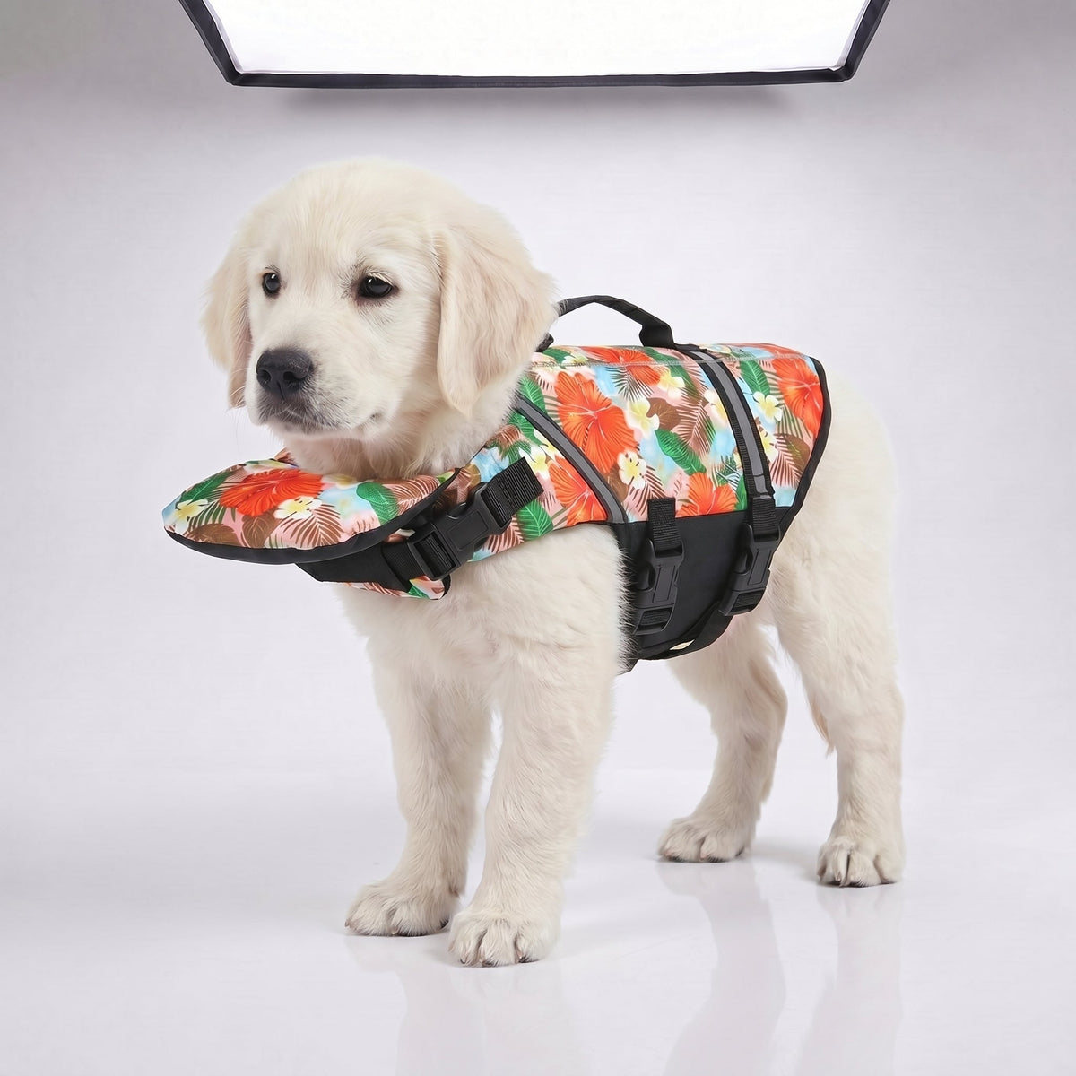 Dog Life Jacket with Padded Chin Float