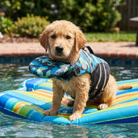 Dog Life Jacket with Padded Chin Float