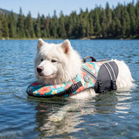 Dog Life Jacket with Padded Chin Float