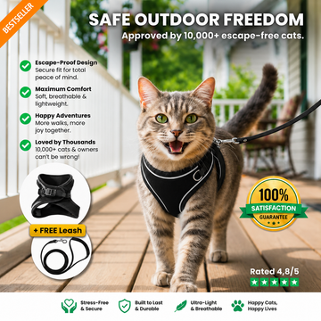 Escape-Proof Cat Harness and Leash Set