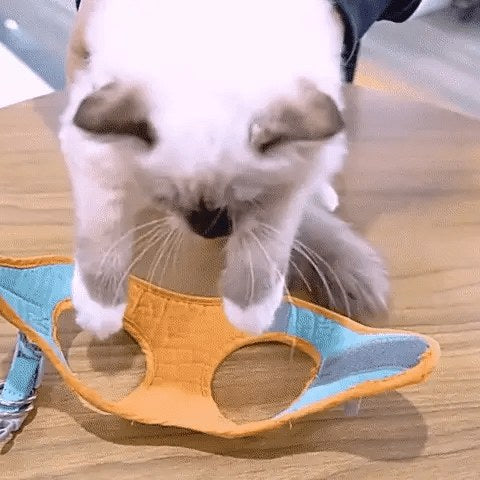 Escape-Proof Cat Harness and Leash Set
