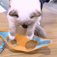 Escape-Proof Cat Harness and Leash Set
