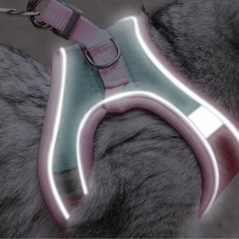 Escape-Proof Cat Harness and Leash Set