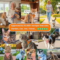 Escape-Proof Cat Harness and Leash Set
