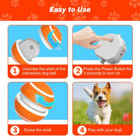 Motion-Activated Bouncing Ball Dog Toy
