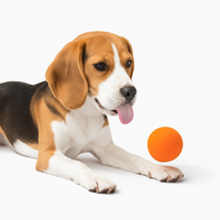 Motion-Activated Bouncing Ball Dog Toy