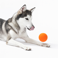 Motion-Activated Bouncing Ball Dog Toy