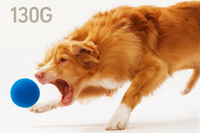 Motion-Activated Bouncing Ball Dog Toy