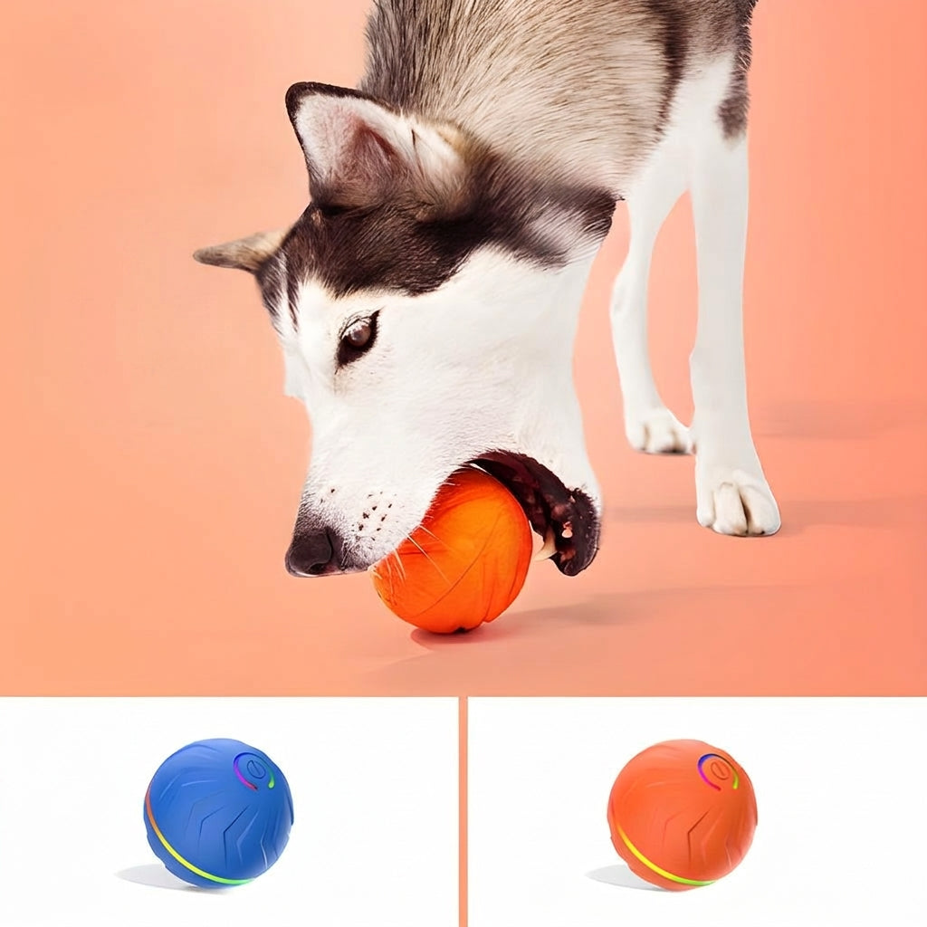 Motion-Activated Bouncing Ball Dog Toy