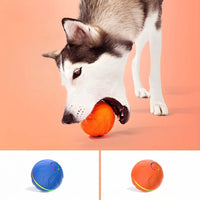 Motion-Activated Bouncing Ball Dog Toy