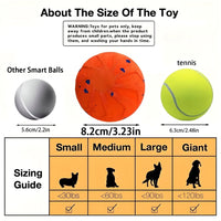 Motion-Activated Bouncing Ball Dog Toy