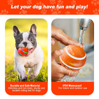 Motion-Activated Bouncing Ball Dog Toy