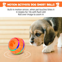 Motion-Activated Bouncing Ball Dog Toy