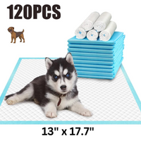 Super Absorbent Puppy Training Pads