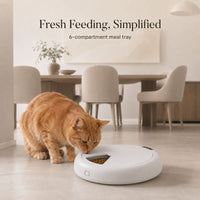 Automatic 6-Meal Cat Feeder for Wet and Dry Food, Wireless Timed Pet Food Dispenser with Touch Control Panel for Cats and Small Dogs