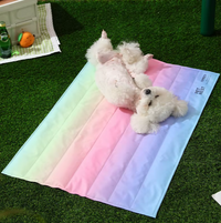 Summer Ice Pad – Cooling Mat for Dogs & Cats