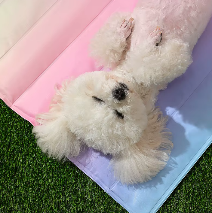 Summer Ice Pad – Cooling Mat for Dogs & Cats