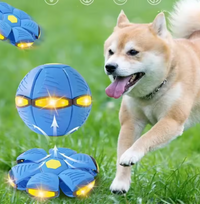 The Magic UFO Ball – Flip, Fly & Bounce Adventure