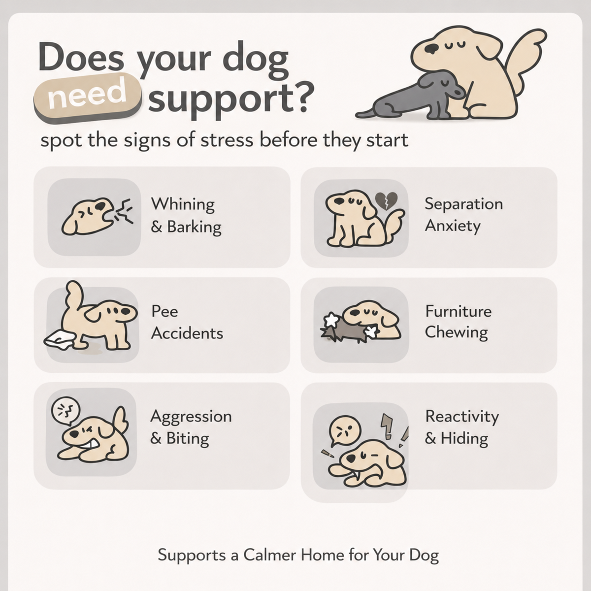 Dog Calming Diffuser for Indoor Marking and  Stress
