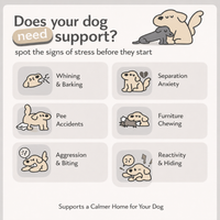 Dog Calming Diffuser for Indoor Marking and  Stress