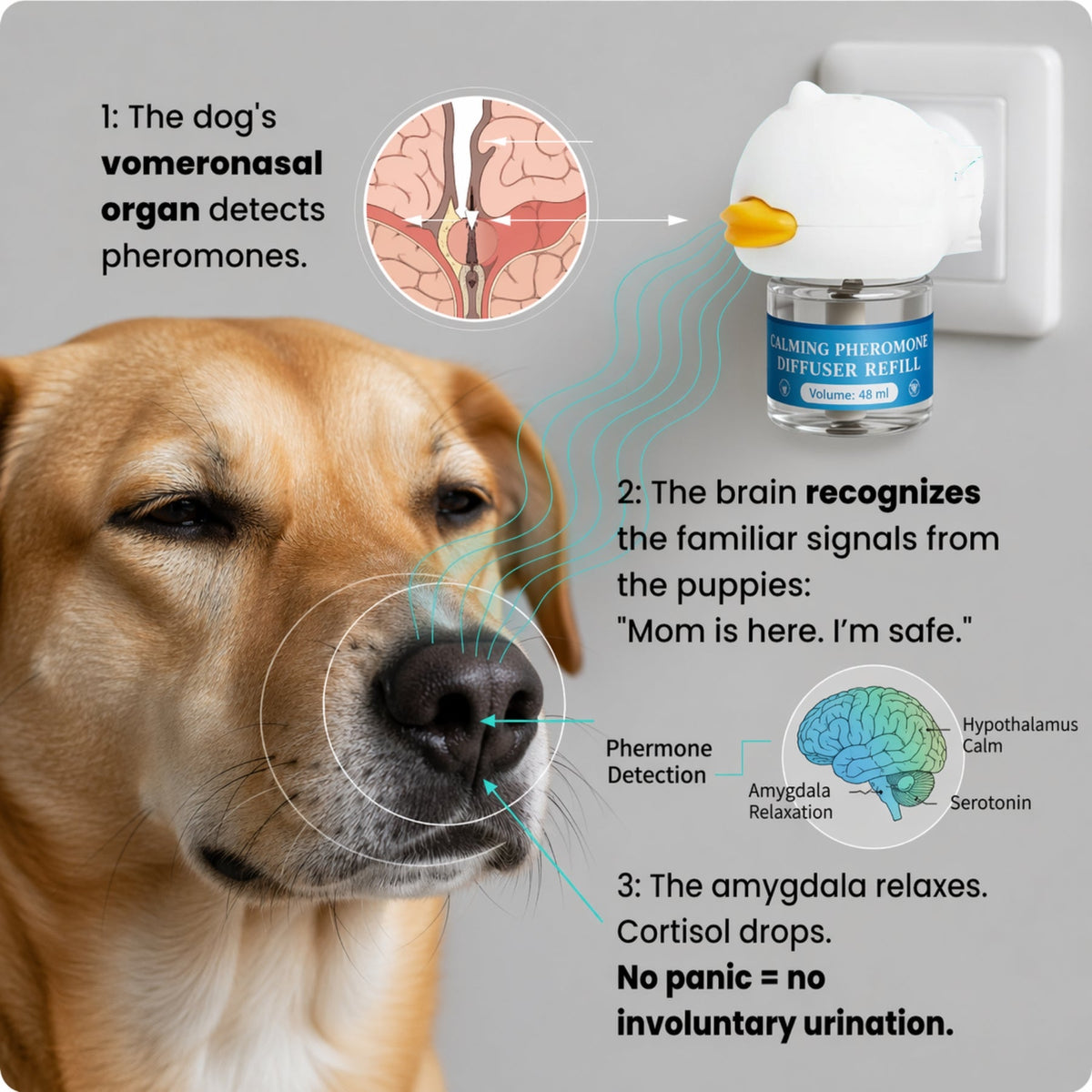 Dog Calming Diffuser for Indoor Marking and  Stress