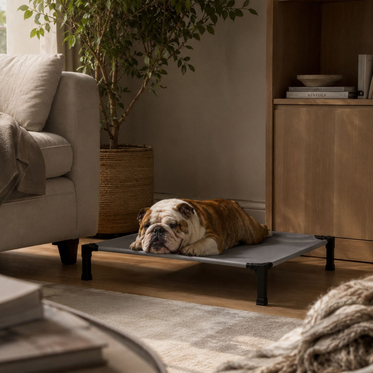 Elevated Cooling Dog and Cat Bed with Breathable Mesh and Metal Frame