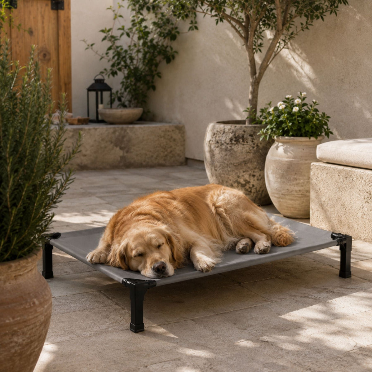 Elevated Cooling Dog and Cat Bed with Breathable Mesh and Metal Frame
