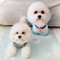 Customization Pet Cushion