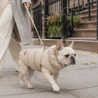 Padded Winter Dog and Cat Coat with Leash Ring – Warm Pet Jacket for Small Pets