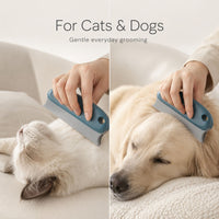 Pet Hair Remover Brush for Dog & Cat Fur on Sofas, Carpets, Clothes & Car Seats
