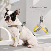 Reflective No Pull Dog Harness for Small & Medium Dogs – Adjustable Soft Padded Pet Chest Strap