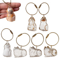 PurrCapsule Cat Hair Keepsake Keychain