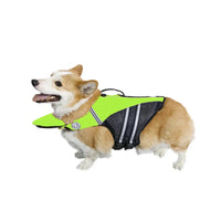 AquaPaws Dog Life Jacket