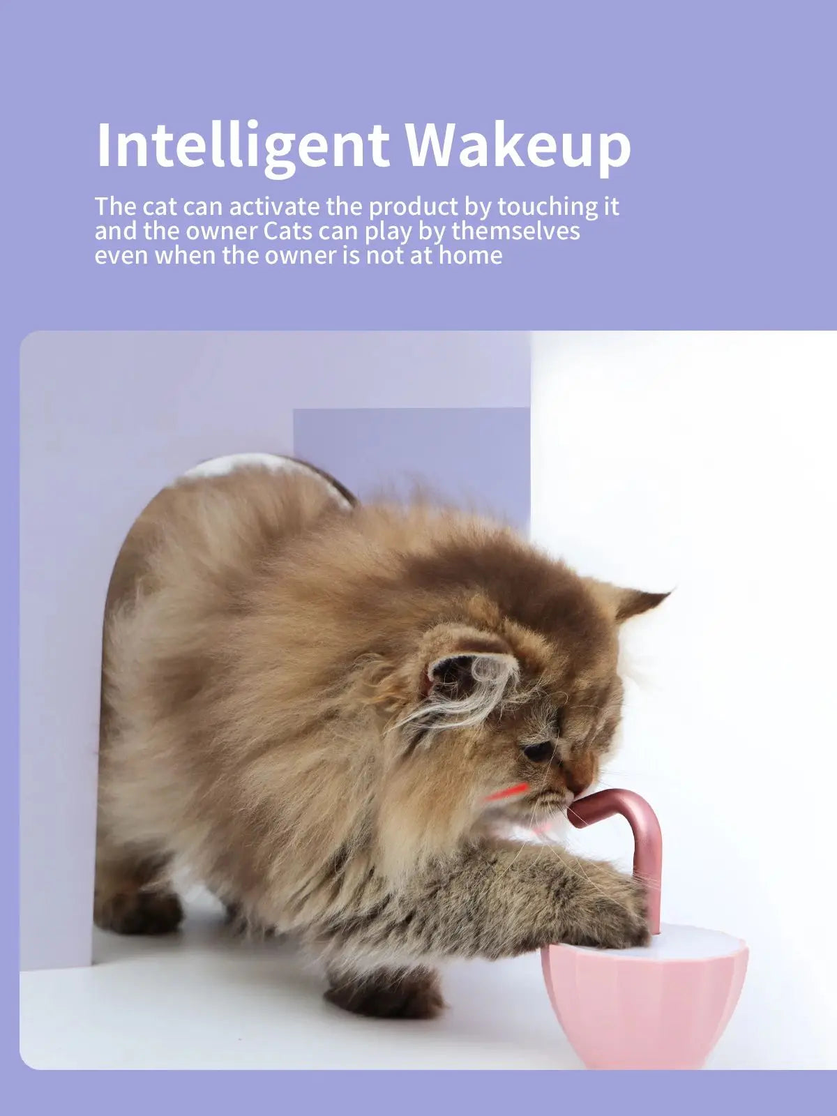 Smart Laser Cat Toy
