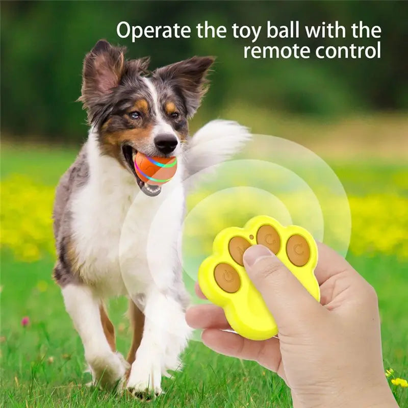 Smart Interactive Rolling Ball Toy for Dogs & Cats