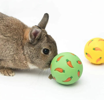 Rabbit Treat Ball – Interactive Snack Dispensing Toy