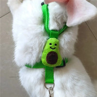 Rabbit Harness and Leash Set – Adjustable for Small Animals
