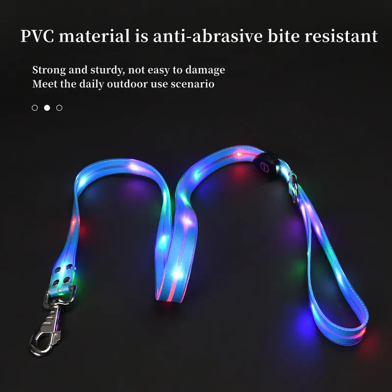 GlowWalk LED Dog Collar & Leash Set | USB Rechargeable Light-Up Walking Lead