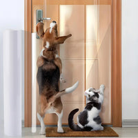 ClearGuard Cat Scratch Protection Tape
