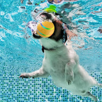 Smart Interactive Rolling Ball Toy for Dogs & Cats