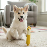 Sausage Squeak & Chew Dog Toy