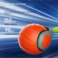 WhiskerChase Smart Rolling Cat Ball
