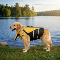 AquaPaws Dog Life Jacket