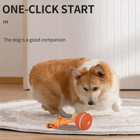 Smart Interactive Rechargeable Dog Ball – Automatic Motion Training Toy